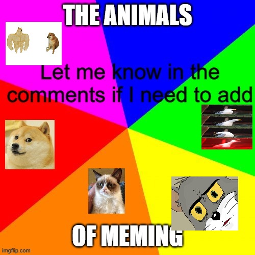 the animals of meming edited | made w/ Imgflip meme maker