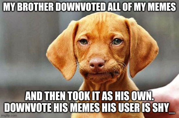hes such an idiot | MY BROTHER DOWNVOTED ALL OF MY MEMES; AND THEN TOOK IT AS HIS OWN. DOWNVOTE HIS MEMES HIS USER IS SHY_ | image tagged in frowning dog | made w/ Imgflip meme maker
