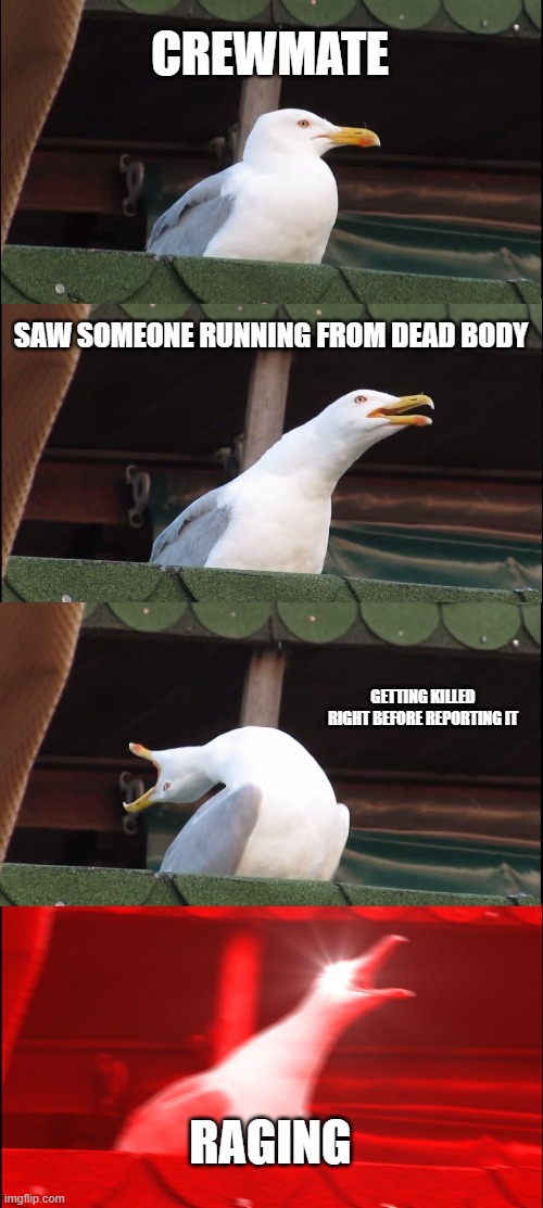 Inhaling Seagull Meme | CREWMATE; SAW SOMEONE RUNNING FROM DEAD BODY; GETTING KILLED RIGHT BEFORE REPORTING IT; RAGING | image tagged in memes,inhaling seagull | made w/ Imgflip meme maker