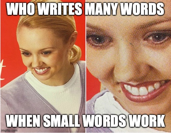 too many words |  WHO WRITES MANY WORDS; WHEN SMALL WORDS WORK | image tagged in words,what | made w/ Imgflip meme maker