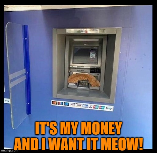 IT'S MY MONEY AND I WANT IT MEOW! | image tagged in cats,funny cats,banking,money,atm | made w/ Imgflip meme maker