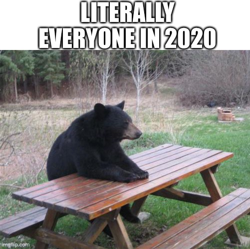 Bad Luck Bear Meme | LITERALLY EVERYONE IN 2020 | image tagged in memes,bad luck bear | made w/ Imgflip meme maker