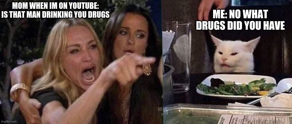 woman yelling at cat | ME: NO WHAT DRUGS DID YOU HAVE; MOM WHEN IM ON YOUTUBE: IS THAT MAN DRINKING YOU DRUGS | image tagged in woman yelling at cat | made w/ Imgflip meme maker