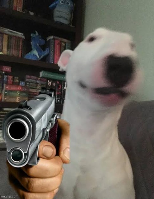 Walter holding gun | image tagged in walter holding gun | made w/ Imgflip meme maker