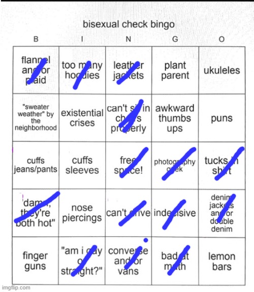 bi bingo | image tagged in bi bingo | made w/ Imgflip meme maker