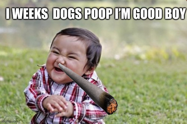 Evil Toddler | I WEEKS  DOGS POOP I’M GOOD BOY | image tagged in memes,evil toddler | made w/ Imgflip meme maker