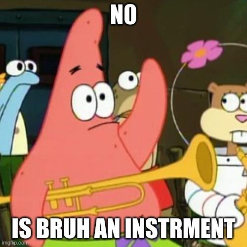 No Patrick | N0; IS BRUH AN INSTRMENT | image tagged in memes,no patrick | made w/ Imgflip meme maker