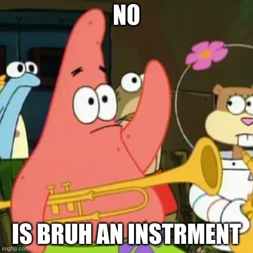 No Patrick Meme | N0; IS BRUH AN INSTRMENT | image tagged in memes,no patrick | made w/ Imgflip meme maker