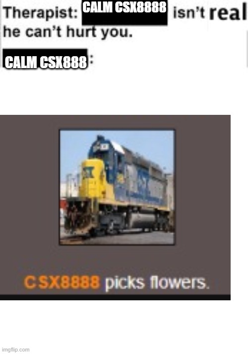 thats a fact | CALM CSX8888; CALM CSX888 | made w/ Imgflip meme maker