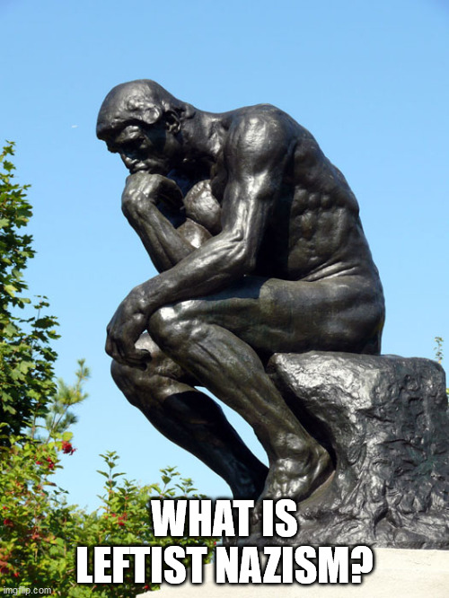 The Thinker | WHAT IS LEFTIST NAZISM? | image tagged in the thinker,vote blue no matter who,dnc,democratic socialism | made w/ Imgflip meme maker