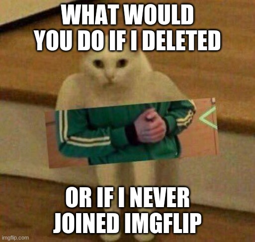 AYYY I'M DOING A LIT FAM TREND LOL XD | WHAT WOULD YOU DO IF I DELETED; OR IF I NEVER JOINED IMGFLIP | image tagged in cursedcat | made w/ Imgflip meme maker