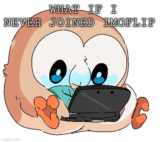 Gamer boi | WHAT IF I NEVER JOINED IMGFLIP | image tagged in gamer boi | made w/ Imgflip meme maker