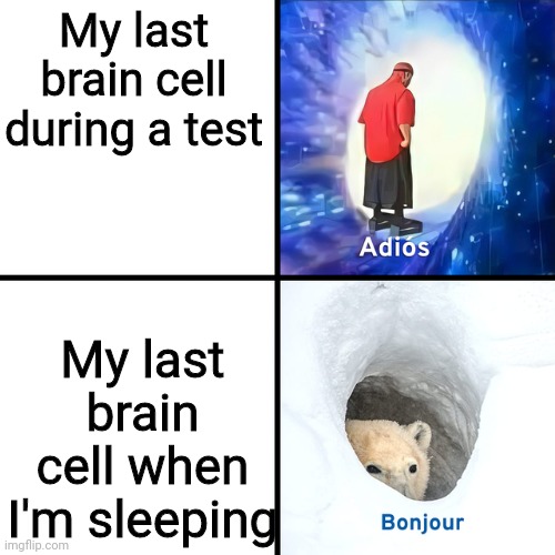 Adios Bonjour | My last brain cell during a test; My last brain cell when I'm sleeping | image tagged in adios bonjour,funny memes | made w/ Imgflip meme maker