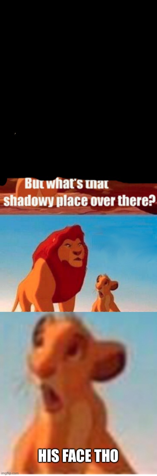 HIS FACE THO | image tagged in memes,simba shadowy place | made w/ Imgflip meme maker