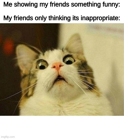 Scared Cat Meme | Me showing my friends something funny:; My friends only thinking its inappropriate: | image tagged in memes,scared cat | made w/ Imgflip meme maker