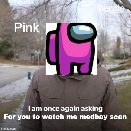 Bernie I Am Once Again Asking For Your Support | Pink; For you to watch me medbay scan | image tagged in memes,bernie i am once again asking for your support | made w/ Imgflip meme maker