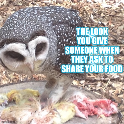 Food sharing | THE LOOK YOU GIVE SOMEONE WHEN THEY ASK TO SHARE YOUR FOOD | image tagged in my food | made w/ Imgflip meme maker