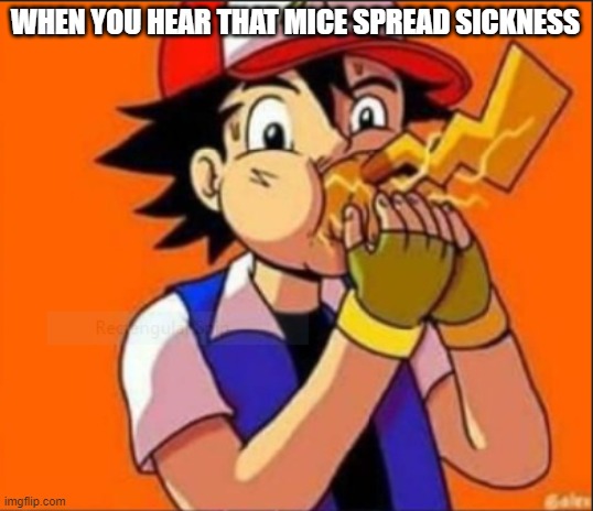 no pikachu | WHEN YOU HEAR THAT MICE SPREAD SICKNESS | image tagged in god no god please no | made w/ Imgflip meme maker