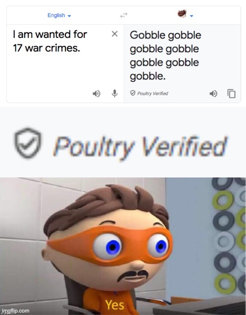 why tho | image tagged in protegent yes,turkey,google translate,hmmm | made w/ Imgflip meme maker