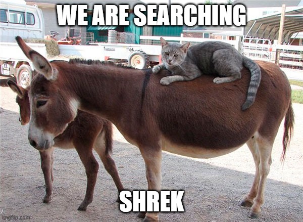 Shrek | WE ARE SEARCHING; SHREK | image tagged in cat,donkey | made w/ Imgflip meme maker