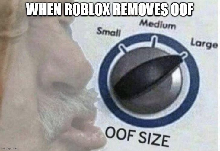 Roblox for real | WHEN ROBLOX REMOVES OOF | image tagged in oof size large,gaming,roblox | made w/ Imgflip meme maker