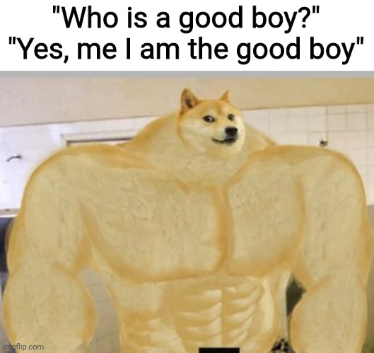 Gud boi | "Who is a good boy?"
"Yes, me I am the good boy" | image tagged in buff doge | made w/ Imgflip meme maker
