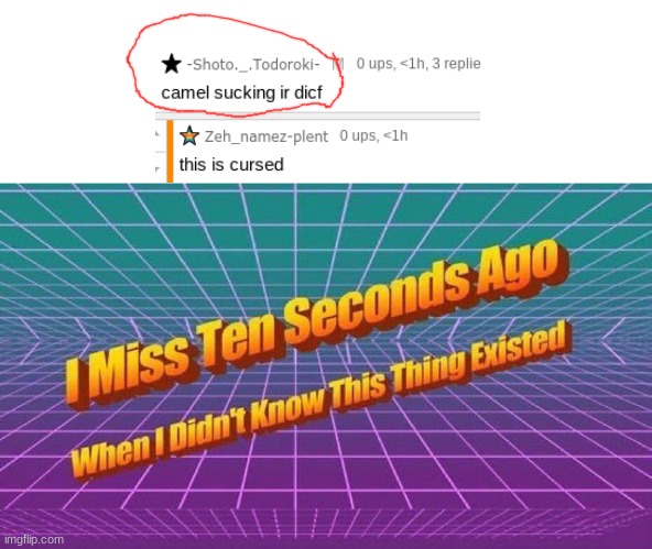 I miss ten seconds ago | image tagged in i miss ten seconds ago,what the | made w/ Imgflip meme maker