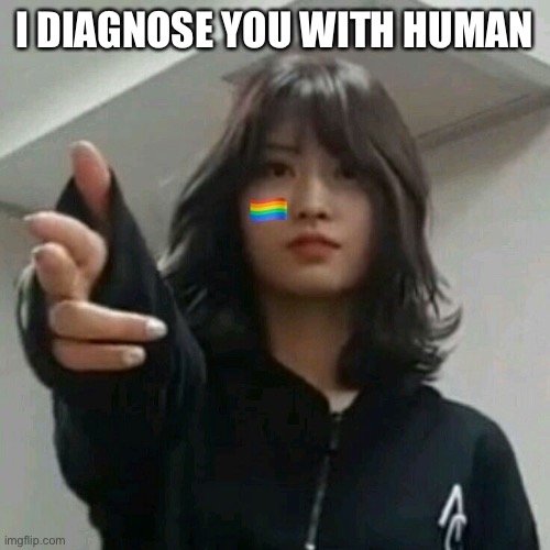 I diagnose you with gay | I DIAGNOSE YOU WITH HUMAN | image tagged in i diagnose you with gay | made w/ Imgflip meme maker