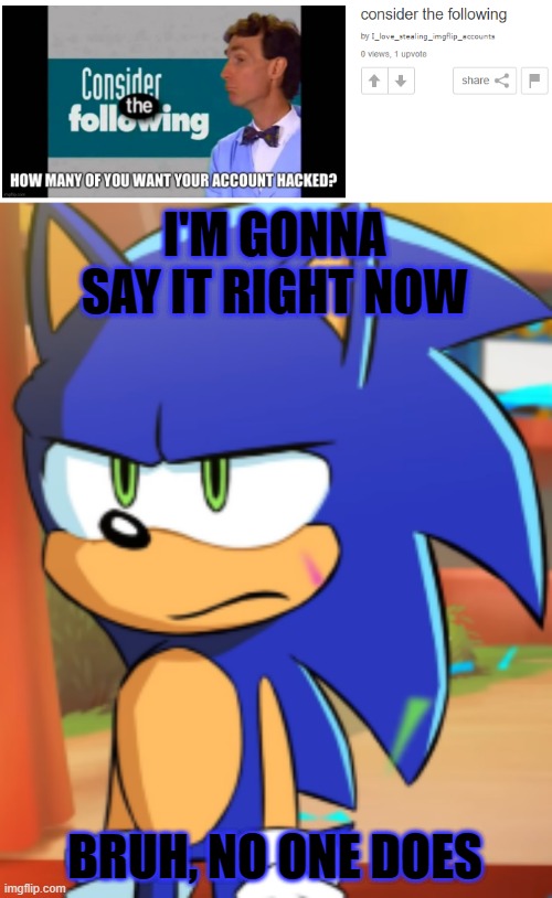 So don't. | I'M GONNA SAY IT RIGHT NOW; BRUH, NO ONE DOES | image tagged in sonic bruh seriously,sonic the hedgehog,imgflip,imgflip users,hackers | made w/ Imgflip meme maker