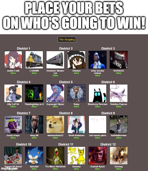 PLACE YOUR BETS ON WHO'S GOING TO WIN! | image tagged in hunger games | made w/ Imgflip meme maker