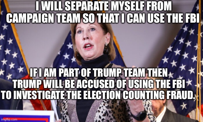 Two steps ahead. | I WILL SEPARATE MYSELF FROM CAMPAIGN TEAM SO THAT I CAN USE THE FBI; IF I AM PART OF TRUMP TEAM THEN TRUMP WILL BE ACCUSED OF USING THE FBI TO INVESTIGATE THE ELECTION COUNTING FRAUD. | image tagged in genius,downvoters | made w/ Imgflip meme maker