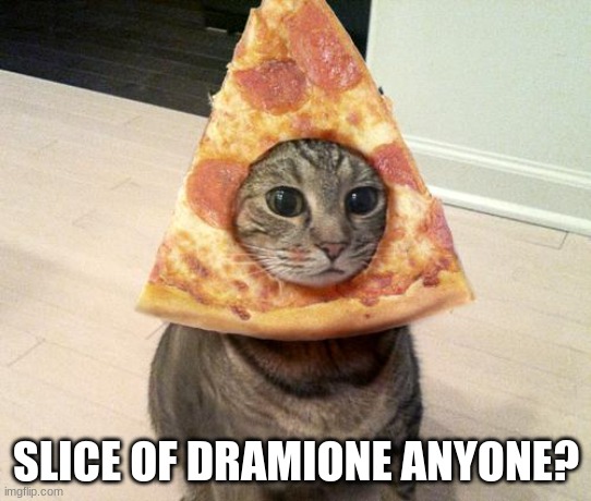pizza cat | SLICE OF DRAMIONE ANYONE? | image tagged in pizza cat | made w/ Imgflip meme maker