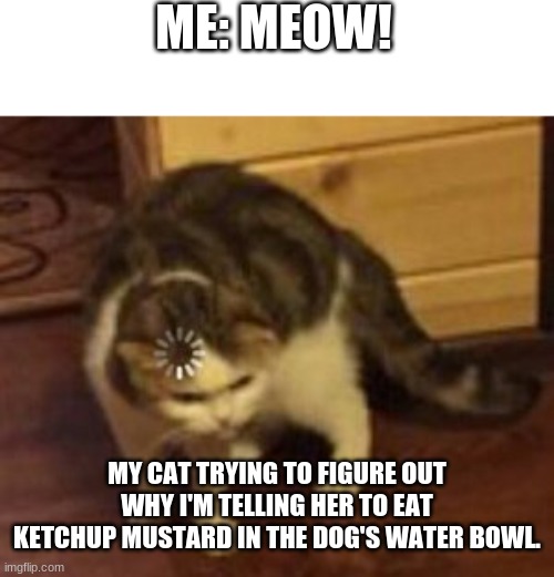 Cat don't understand |  ME: MEOW! MY CAT TRYING TO FIGURE OUT WHY I'M TELLING HER TO EAT KETCHUP MUSTARD IN THE DOG'S WATER BOWL. | image tagged in loading cat | made w/ Imgflip meme maker