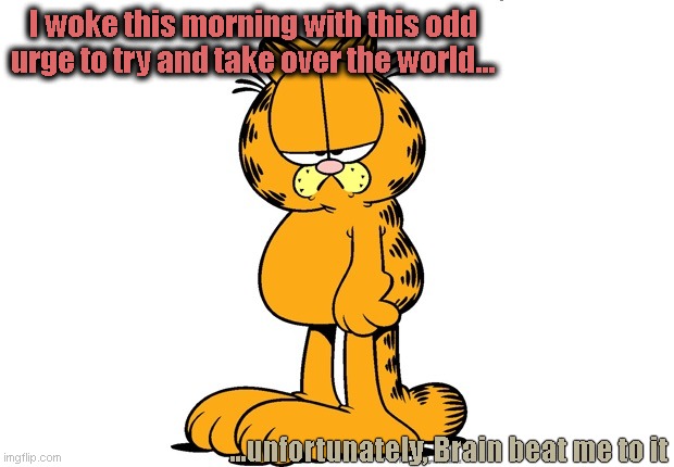 Grumpy Garfield | I woke this morning with this odd urge to try and take over the world... ...unfortunately, Brain beat me to it | image tagged in grumpy garfield | made w/ Imgflip meme maker
