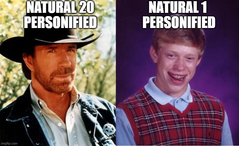 natural 20 vs natural 1 | NATURAL 20 PERSONIFIED; NATURAL 1 
PERSONIFIED | image tagged in memes,chuck norris,bad luck brian | made w/ Imgflip meme maker