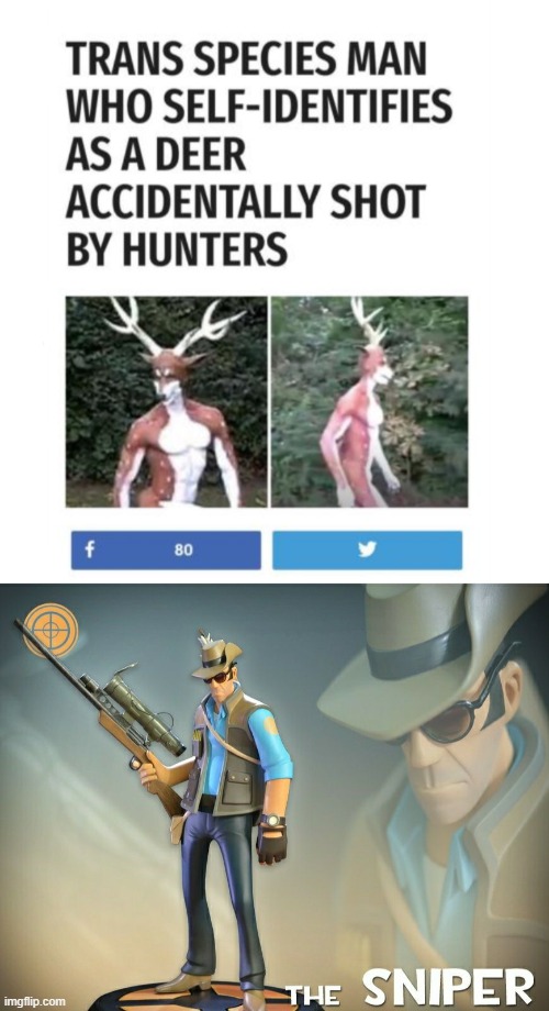 A very realistic deer | image tagged in the sniper,memes,funny,deer,shot | made w/ Imgflip meme maker