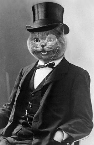 High Quality Monocle Cat Blank Meme Template