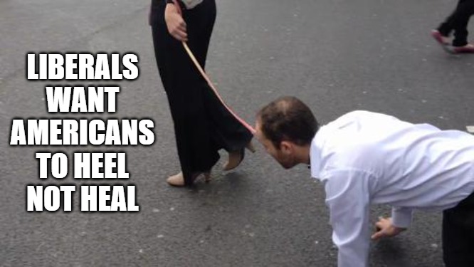 Heel or Heal | LIBERALS WANT AMERICANS TO HEEL NOT HEAL | image tagged in liberals,control,heel,heal | made w/ Imgflip meme maker