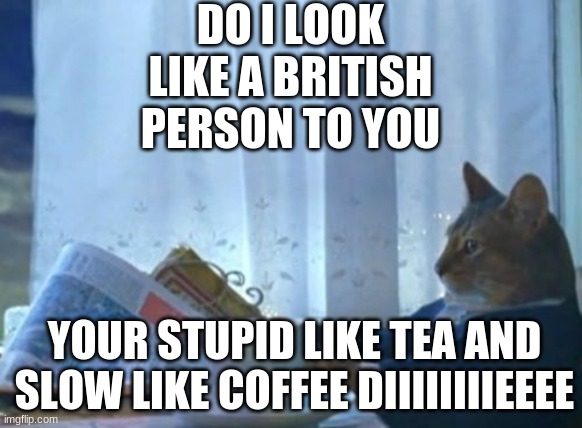 I Should Buy A Boat Cat | DO I LOOK LIKE A BRITISH PERSON TO YOU; YOUR STUPID LIKE TEA AND SLOW LIKE COFFEE DIIIIIIIIEEEE | image tagged in memes,i should buy a boat cat | made w/ Imgflip meme maker