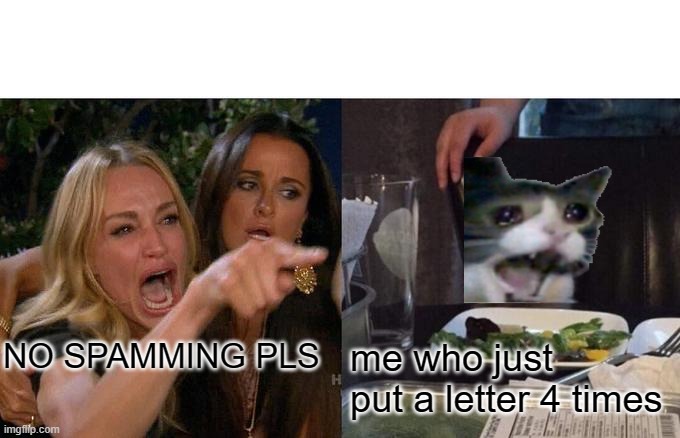 Woman Yelling At Cat Meme | NO SPAMMING PLS; me who just put a letter 4 times | image tagged in memes,woman yelling at cat | made w/ Imgflip meme maker