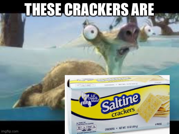 Sid Salty | THESE CRACKERS ARE | image tagged in sid salty | made w/ Imgflip meme maker