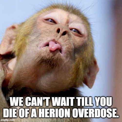 brat monkey | WE CAN'T WAIT TILL YOU DIE OF A HERION OVERDOSE. | image tagged in brat monkey | made w/ Imgflip meme maker