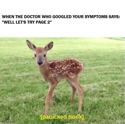 That's not good | WHEN THE DOCTOR WHO GOOGLED YOUR SYMPTOMS SAYS: 
"WELL LET'S TRY PAGE 2" | image tagged in honk,doctor,panic | made w/ Imgflip meme maker