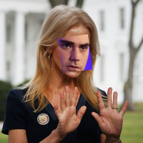 ben shapiro kellyanne conway face swap Blank Meme Template