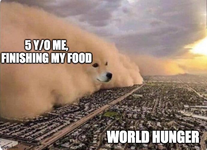 a remake of my latest meme, not a repost | 5 Y/O ME,
FINISHING MY FOOD; WORLD HUNGER | image tagged in doge cloud | made w/ Imgflip meme maker
