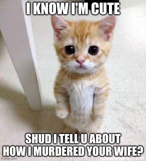 Imma killer | I KNOW I'M CUTE; SHUD I TELL U ABOUT HOW I MURDERED YOUR WIFE? | image tagged in memes,cute cat | made w/ Imgflip meme maker
