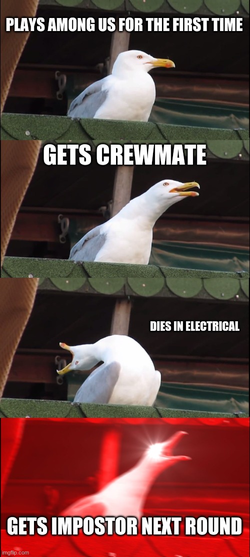 Inhaling Seagull Meme | PLAYS AMONG US FOR THE FIRST TIME; GETS CREWMATE; DIES IN ELECTRICAL; GETS IMPOSTOR NEXT ROUND | image tagged in memes,inhaling seagull | made w/ Imgflip meme maker