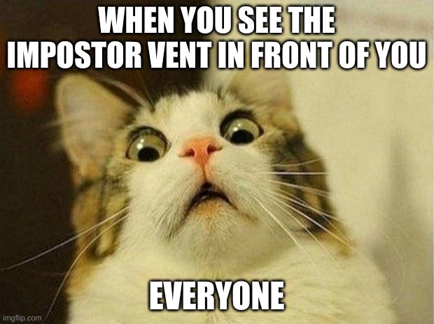 Scared Cat | WHEN YOU SEE THE IMPOSTOR VENT IN FRONT OF YOU; EVERYONE | image tagged in memes,scared cat | made w/ Imgflip meme maker
