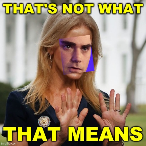 ben shapiro kellyanne conway face swap | THAT'S NOT WHAT; THAT MEANS | image tagged in ben shapiro kellyanne conway face swap,that's not how any of this works,that's not what that means,alternative facts | made w/ Imgflip meme maker