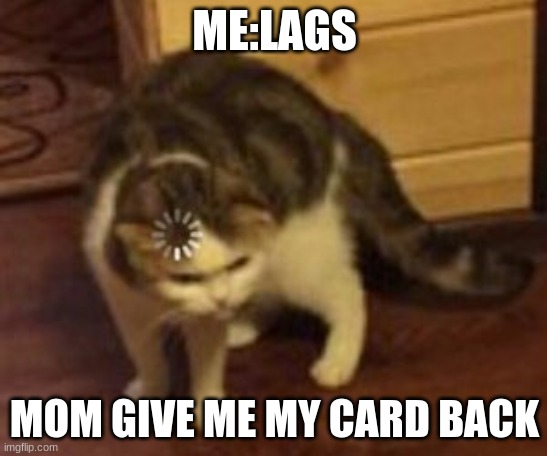 Loading cat | ME:LAGS; MOM GIVE ME MY CARD BACK | image tagged in loading cat | made w/ Imgflip meme maker